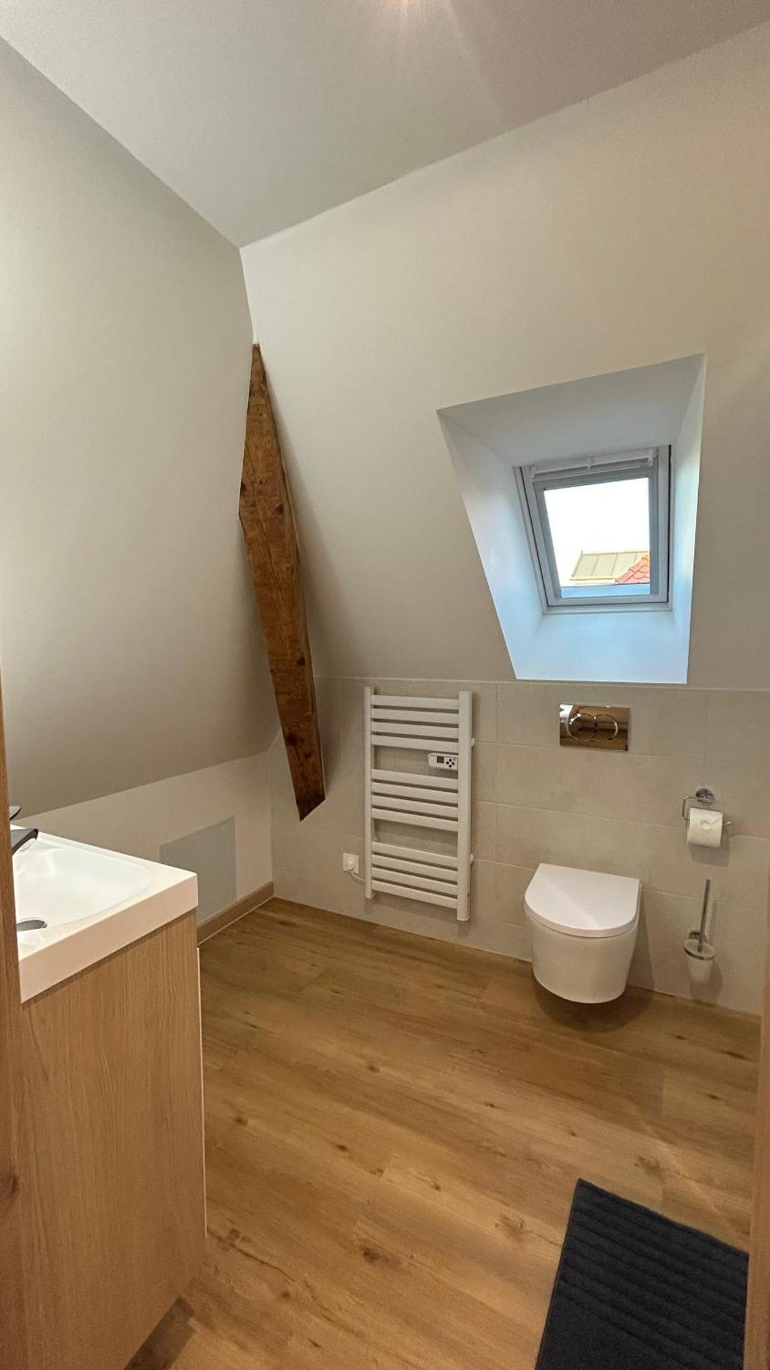 Appartement Moderne Et Spacieux, A 10 Min De La Gare Colmar Luaran gambar