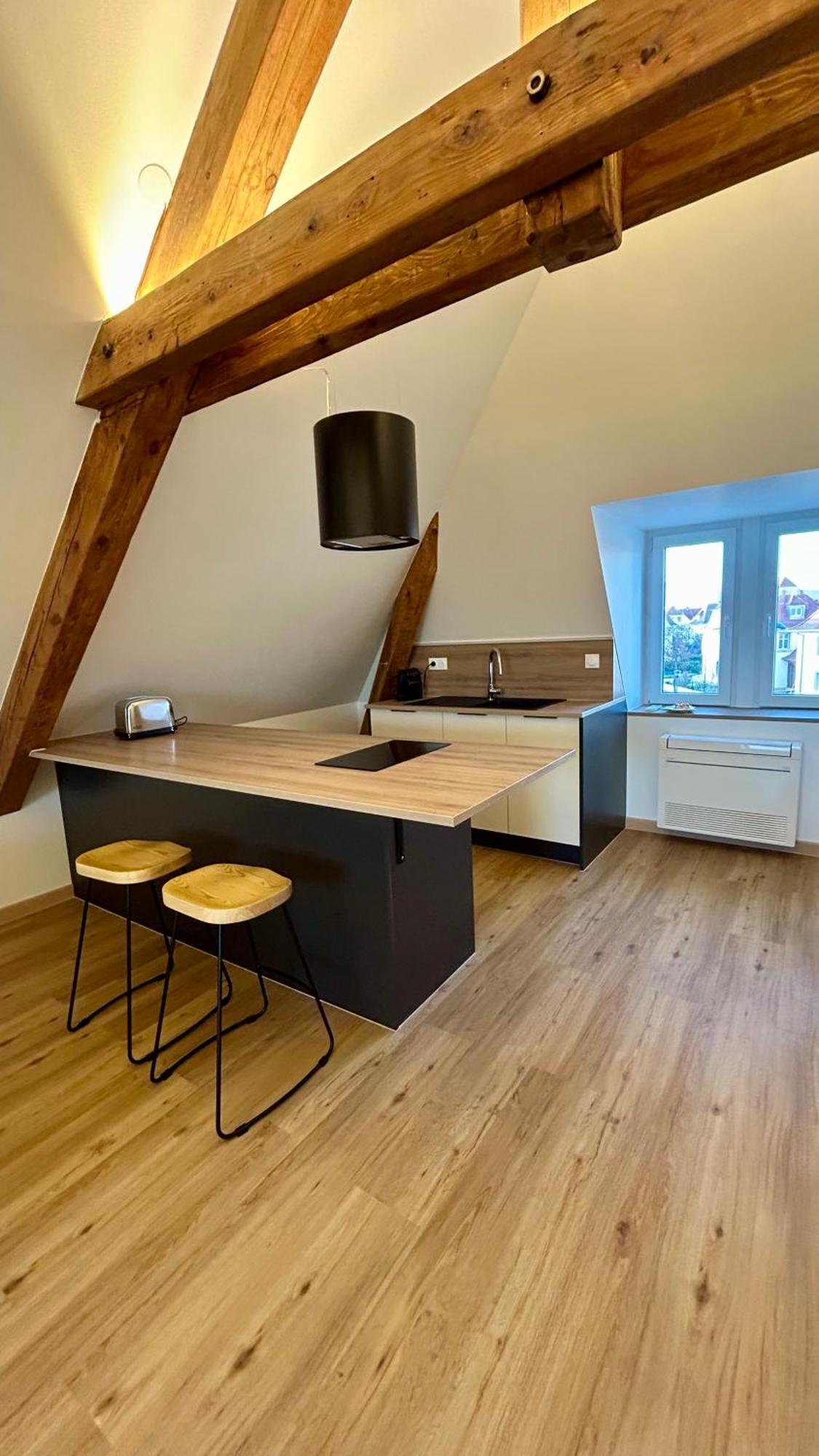 Appartement Moderne Et Spacieux, A 10 Min De La Gare Colmar Luaran gambar
