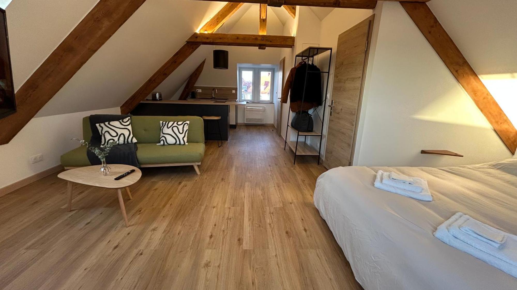 Appartement Moderne Et Spacieux, A 10 Min De La Gare Colmar Luaran gambar