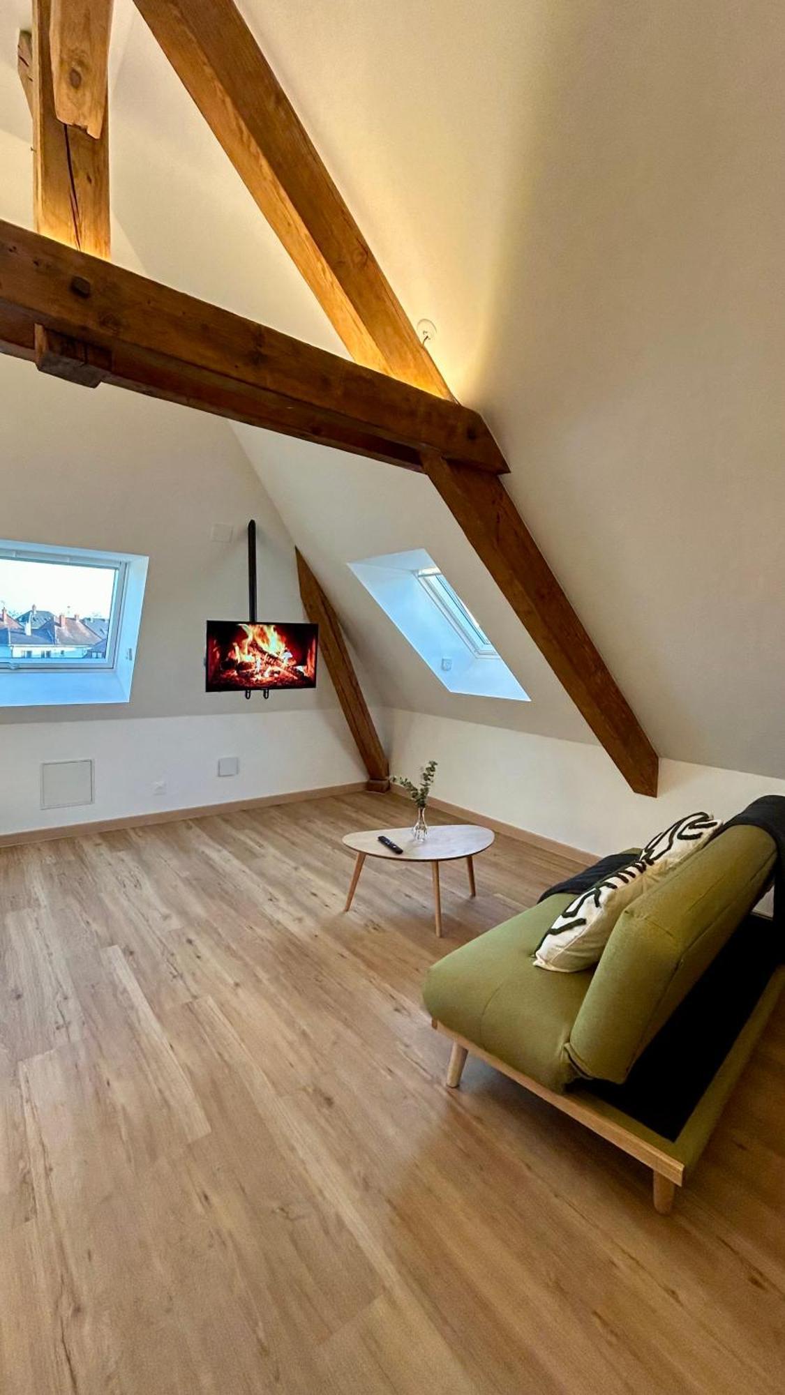 Appartement Moderne Et Spacieux, A 10 Min De La Gare Colmar Luaran gambar