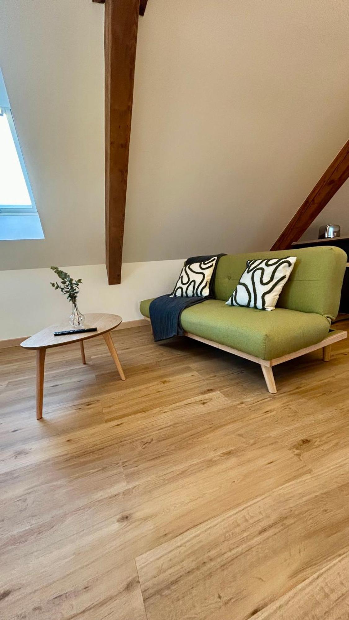 Appartement Moderne Et Spacieux, A 10 Min De La Gare Colmar Luaran gambar
